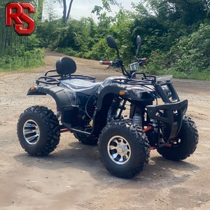Trenzador Eléctrico Raxen para Cuatrimotos de 250cc con Suspensión Independiente, Ideal para Alquiler en Parques - Product Image 2