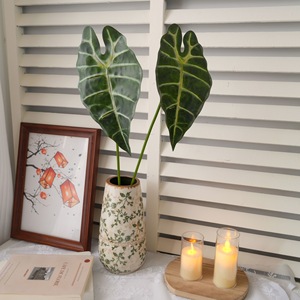 Plante artificielle CallaFloral Alocasia verte à branche unique pour décoration intérieure en PVC - Product Image 1
