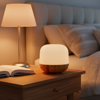 Diffuseur d'aromathérapie ultrasonique portable USB rechargeable écologique à grain de bois, humidificateur à brume froide grande capacité pour hôtel