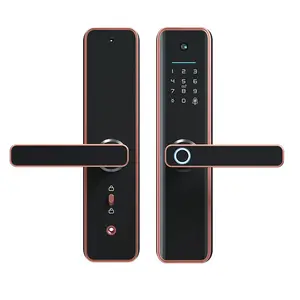 Wifi Biometrischer Finger abdruck Home Tuya Smart American Türschloss Griff Magnet Türschloss