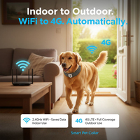 Collier intelligent pour animaux de compagnie C10 Gen-2 avec mini caméra POV, visualisation en temps réel, suivi GPS pour chiens de taille moyenne à grande, surveillance en extérieur
