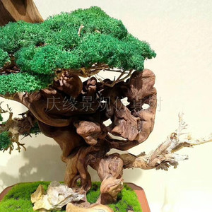 Paisaje de pino artificial, único, bonsái - Product Image 6