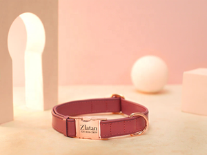 Colori personalizzati collare per cani in pelle personalizzato collare e guinzaglio per cani di lusso vegano set collari e guinzagli per cani di piccola taglia - Product Image 6
