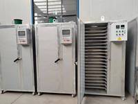 Machine de séchage industrielle pour légumes à vendre, équipement de séchage durable pour noix, machines de transformation alimentaire