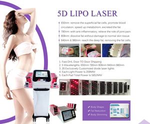 Coussinets Lipo amincissants 5d/6d <span class=keywords><strong>Lipolaser</strong></span> 650nm thérapie par la lumière rouge infrarouge 160mw/210mw corps amincissant la machine de perte de poids brûlant les graisses - Product Image 6