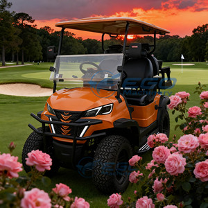 Carrito de Golf 4x4 de 4 Plazas, Vehículo Eléctrico de Marca para Recepción en Hoteles y Aeropuertos, Origen Henan - Product Image 1