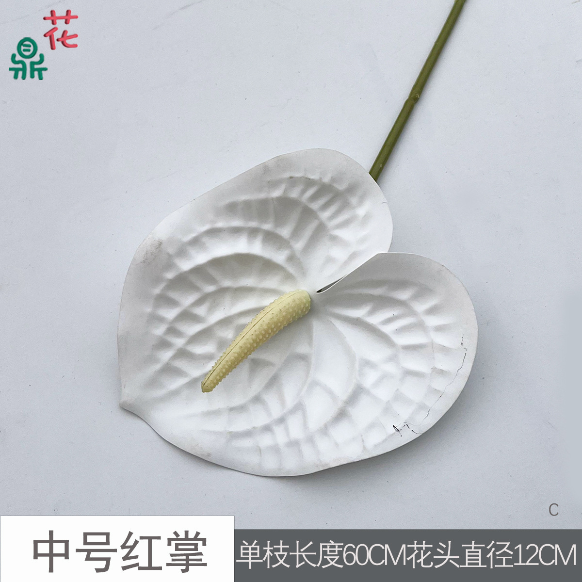 Anthurium rouge moyen C 11 blanc