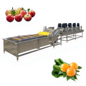 Ligne de production d'équipements de lavage, de séchage et de transformation des fruits et légumes, fraises, carottes, pommes de terre, gingembre - Product Image 1