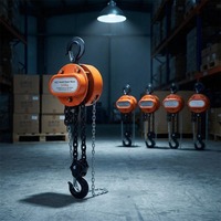 Palans à chaîne manuels en acier haute résistance de marque Hengyan, vente en gros d'usine, petite machine de levage, hauteur de levage 3m, garantie 1 an