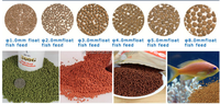 Ligne d'extrusion à double vis pour aliments pour poissons, avec mélangeur et sécheur à bande pour la production de granulés à base de farine de blé et de maïs