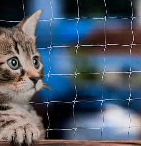 HDPE noeud nylon transparent Balcon Pet <span class=keywords><strong>Chat</strong></span> Sécurité Protection Net Enfants Balcon <span class=keywords><strong>Anti</strong></span> <span class=keywords><strong>Chute</strong></span> Net - Product Image 6