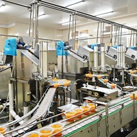Industriële multifunctionele sap- en jammachine met 304 roestvrijstalen tandwielen en lagers, sapverwerkingslijn