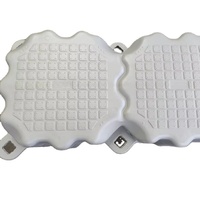 Ponton en plastique durable pour usage maritime