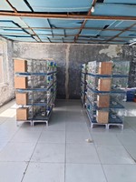 Cage à oiseaux durable et de longue durée de vie avec cloison jumelée pour nids de pigeons d'élevage Cage à lapins d'entraînement