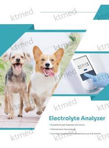 건식 전기화학 전해질 분석기, 의료용 혈액 가스 분석기, 스마트 미니 전해질 K Na Cl Ca 테스트 분석기 - Product Image 5
