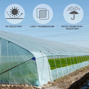 Película de plástico para invernaderos, rollos de película para invernaderos, duraderos y de larga duración para uso agrícola en invernaderos. - Product Image 5