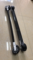 Ski — rouleau en fibre de carbone, classique, été