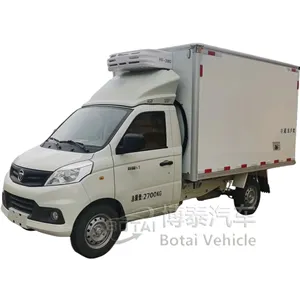 Hot Sale Mini Electric Pickup Truck 4 Rounds Electric Van Truck 4x2 Small Van Cargo Refrigerator Truck For Sale