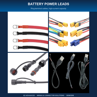 Kabel Harness Kustom Berkualitas Tinggi 2-6 Pin Inti Tembaga IP66 12V PTFE/PBT dengan Konektor JST XH/SH/ZH/Molex Pitch 1.0-2.5 untuk Papan