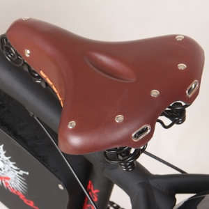 Kit Bici Elettrica Vintage 48V 20Ah 1000-2000W, Bici Elettrica Retrò Fat Bike - Product Image 3