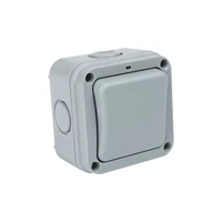 Boîtier de protection électrique extérieur IP65 étanche en PC avec interrupteur double commande 220V et voyant lumineux miniature à bouton-poussoir