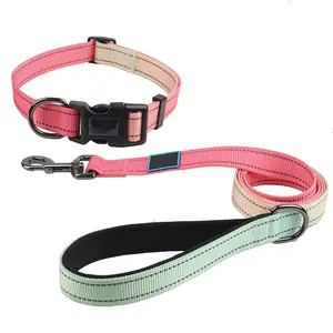 A589 Custom Hondenhalsriem Medium Reflecterend Meisje Verstelbaar Duurzaam Buiten Wandelen Training Hondenhalsband En Riem Set Luxe