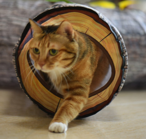 อุโมงค์แมวขนาดใหญ่3ทาง,ท่อยุบได้พร้อมรูแอบมองอุโมงค์แมวของเล่นเขาวงกตแบบโต้ตอบสไตล์ใหม่ - Product Image 3