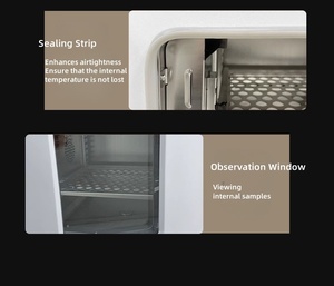 Four de séchage à <span class=keywords><strong>air</strong></span> forcé Test en laboratoire Chambre à haute température à température constante Séchage expérimental Four industriel 101 - Product Image 4