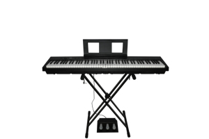 <span class=keywords><strong>Piano</strong></span> Digital Plegable Portátil Beisite Tipo S-216 con 88 Teclas <span class=keywords><strong>Precio</strong></span> <span class=keywords><strong>de</strong></span> Fábrica Teclado Estándar Paso a Paso - Product Image 3