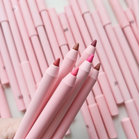Nouveautés Crayon à lèvres mat OEM Multicolores Imperméable Vegan Crayon à lèvres mat Crayon à lèvres à label privé Facile à colorer Crayon à lèvres crème