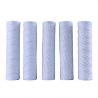 Cartouche filtrante industrielle RoHS de 10 pouces en fil PP 1 micron et filtre à eau multimicron enroulé en fil métallique pour traitement de l'eau, directement de l'usine