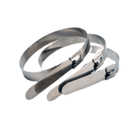 Haitai Ce Rohs 201 304 316 Kabelbinder Promotion 7,9x360mm Edelstahl Aluminium Metall SS Kabel Draht Kabelbinder