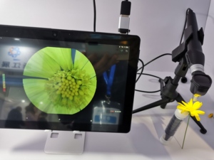 กล้องวิดีโอชุดตรวจหูพร้อม USB เชื่อมต่อคอมพิวเตอร์และโทรศัพท์แอนดรอยด์ - Product Image 5