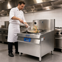 Cuisinière à induction commerciale, station wok, plaque de cuisson électrique 15KW en acier inoxydable pour hôtel et restaurant