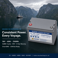 Batterie marine LiFePO4 ODM 36V 60Ah 105Ah 200Ah anti-corrosion pour bateau, acceptant les petites commandes d'essai