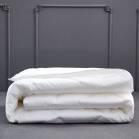 Quilts haut de gamme Sheraton Intercontinental St. Regis Hilton Marriott Quilts Textile Respirant 100% Coton Duck Quilt Core