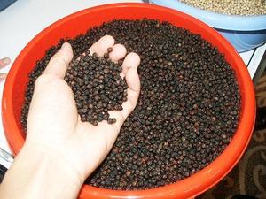 Linda W.S 0084989322607 Máquina de pimienta negra a granel limpiada 500GL 550GL 5MM 600GL 50 KG/Bag Proceso seco crudo Tipo de procesamiento de anuncios - Product Image 6