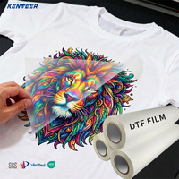 Rouleau de film PET DTF direct usine 75μ double face mat pelable à chaud et à froid instantané 30cm 60cm A1 pour impression par transfert thermique sur T-shirt