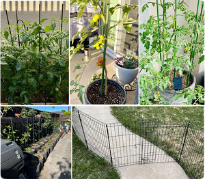 Shine Universe FRP Fiberglass <b>Rods</b> & Stakes-Rust-Proof Plant Support Customizable Lengths Cutting Service Available - Product Image 3