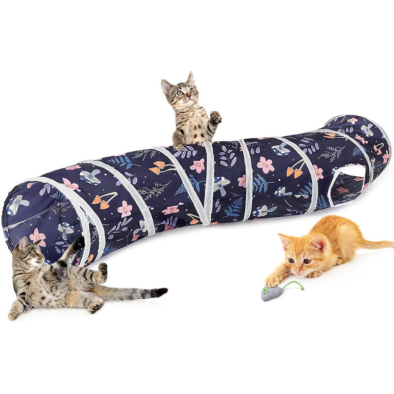 ป่าสีฟ้า