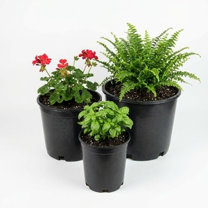 Pots de pépinière en plastique PP noir robuste de qualité supérieure avec excellente drainage pour l'agriculture en serre - Vente en gros - Product Image 1