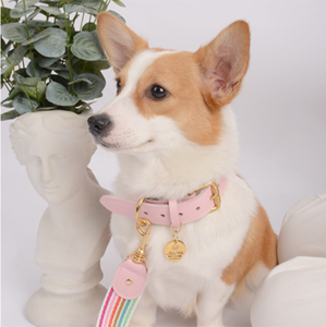 Gutes Material Edelstahl halsband Hunderasse ID Tag Hunde marke Silber Custom Hunde marke - Product Image 3