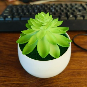 Mini plantas suculentas artificiales en maceta de Yiwu Datuo Florist, 14x10 cm, vegetación artificial para decoración del hogar y accesorios de fotografía. - Product Image 4