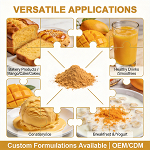 Gefreeze-droogde mangopoeder 100% puur natuurlijk wateroplosbaar fruitpoeder, voedingskwaliteit voor dranken, bakken, voedseladditief, fabriek - Product Image 4