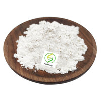 Poudre de Glucomannane de Konjac de Qualité Alimentaire en Gros, Extrait de Farine de Konjac 90% Glucomannane