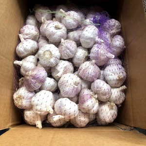 Compre Ajo Blanco Fresco de la Nueva Cosecha 2025 de China, Distribuidor Chino de Ajo, Precio al por Mayor - Product Image 6