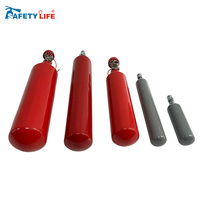 Cartouches de gaz CO2 portables 4g 8g 12g 16g 18g 24g 33g 38g 45g 50cc 60cc 88g Cartouche de CO2 pour soda pour le camping et les pique-niques
