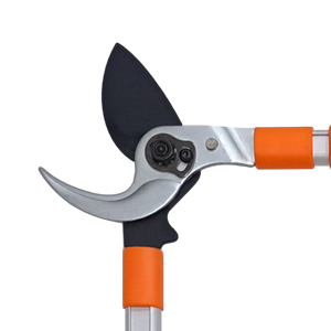 Tijeras de setos profesionales personalizadas y tijeras de podar de frutas Bypass Lopper Design Garden Hand Tools - Product Image 3