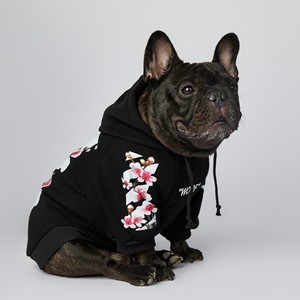Moda a juego perro y sudaderas con capucha humana <span class=keywords><strong>bulldog</strong></span> francés Sudadera con capucha fábrica al por mayor suministro de ropa para mascotas gordas - Product Image 4