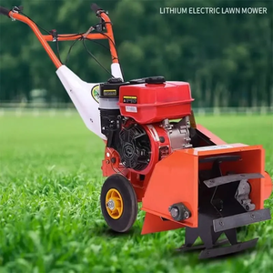 Désherbeuse à moteur diesel à prix de gros, machine de désherbage et de labour à propulsion sur 2 roues avec fonction scarification pour petites surfaces - Product Image 6